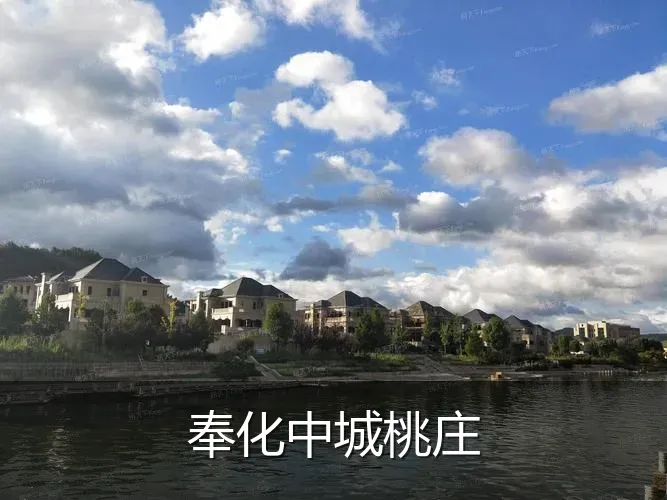 奉化中城桃庄