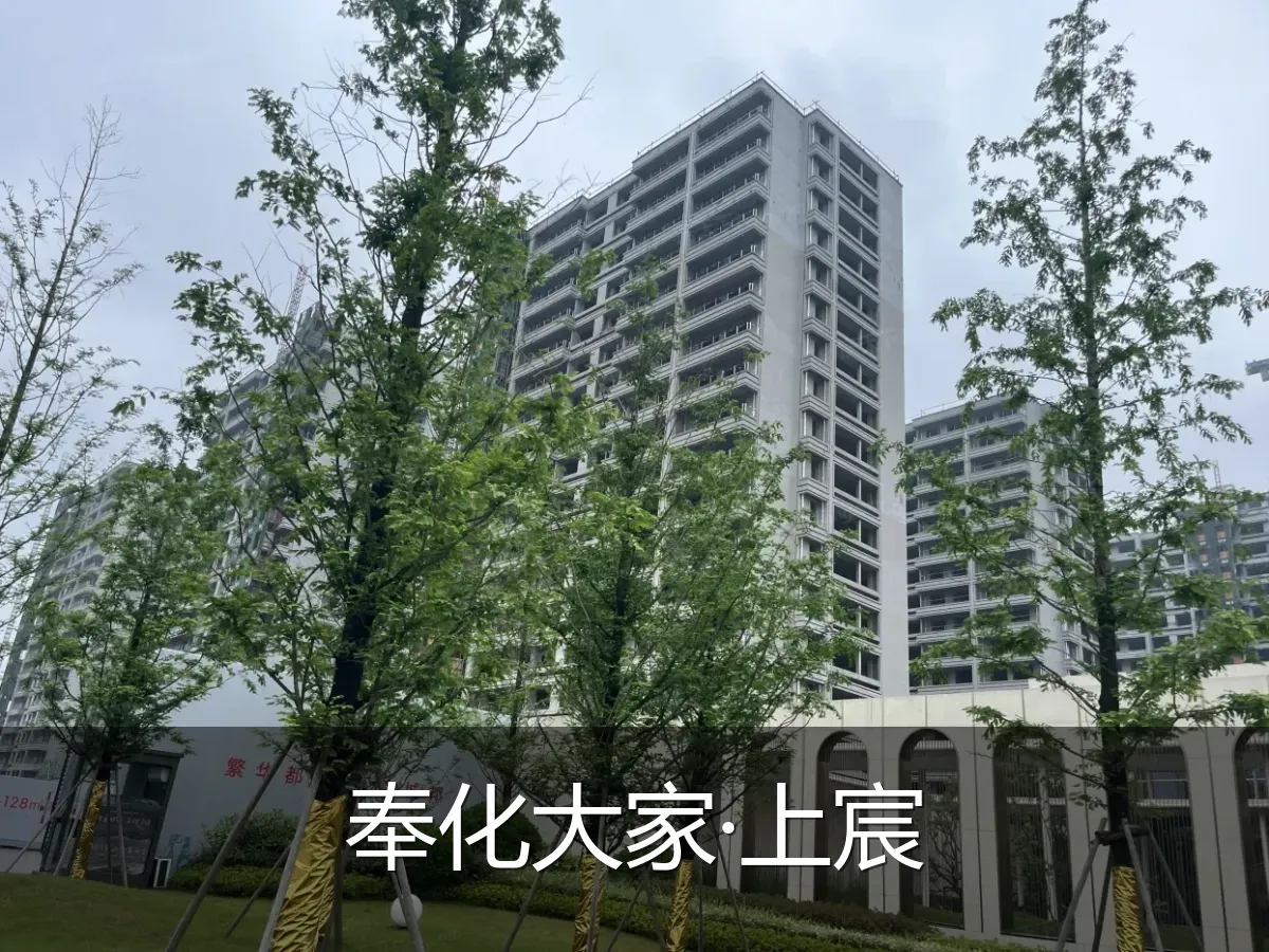 奉化大家·上宸