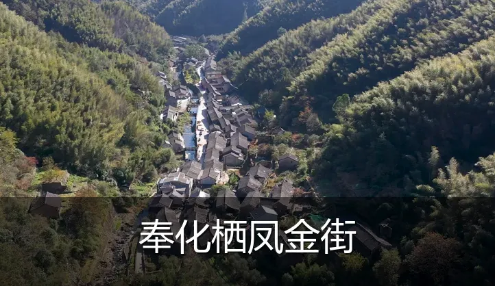 奉化栖凤金街