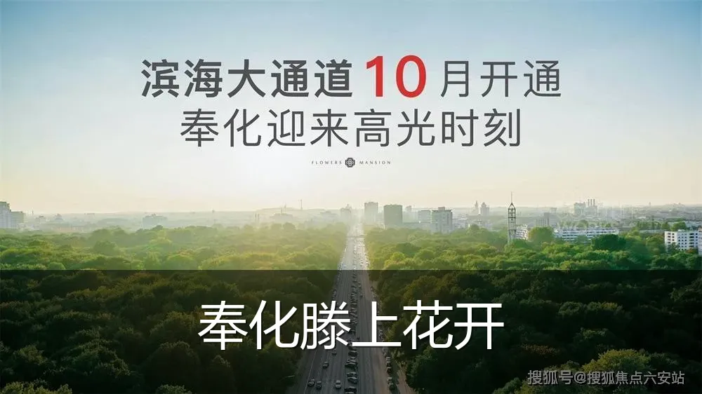 奉化滕上花开